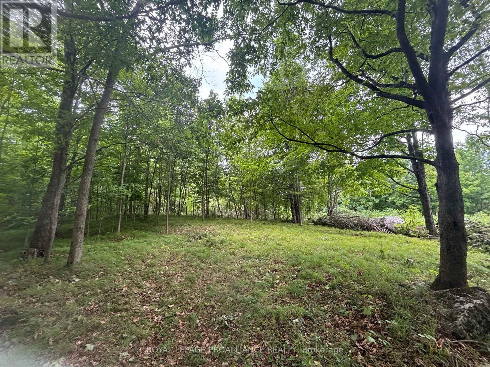 Severed B - 554 Pigden Road, Madoc, ON