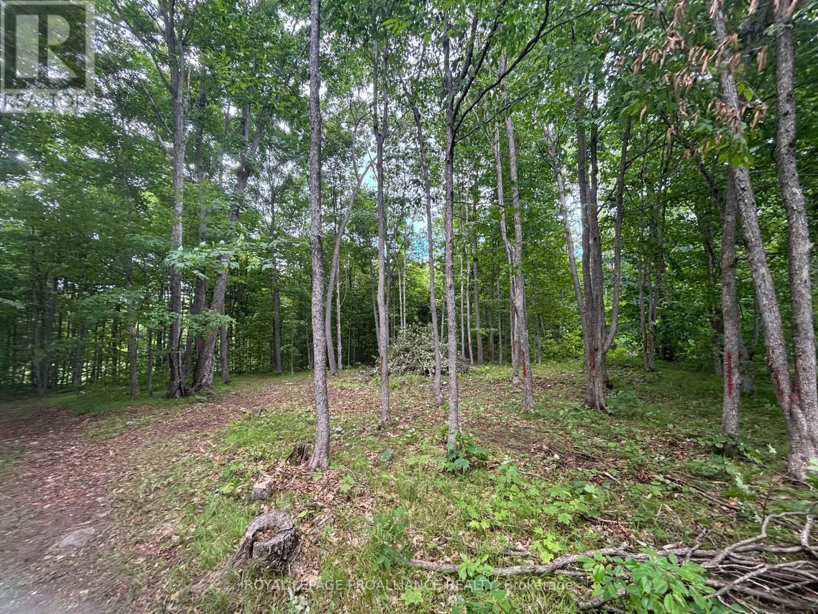 Severed B - 554 Pigden Road, Madoc, ON