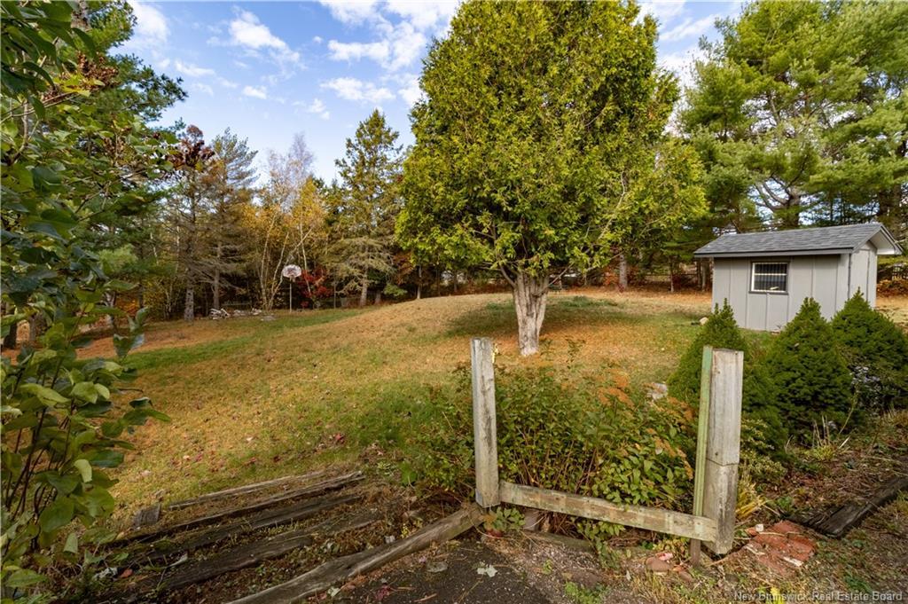 45 Tavener, Picadilly, NB