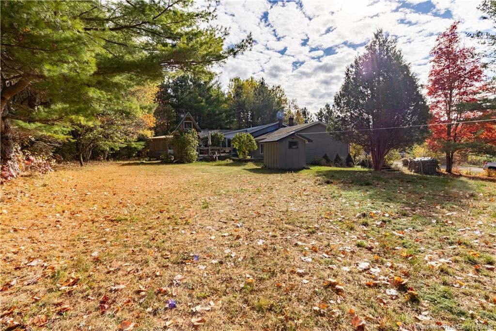 45 Tavener, Picadilly, NB