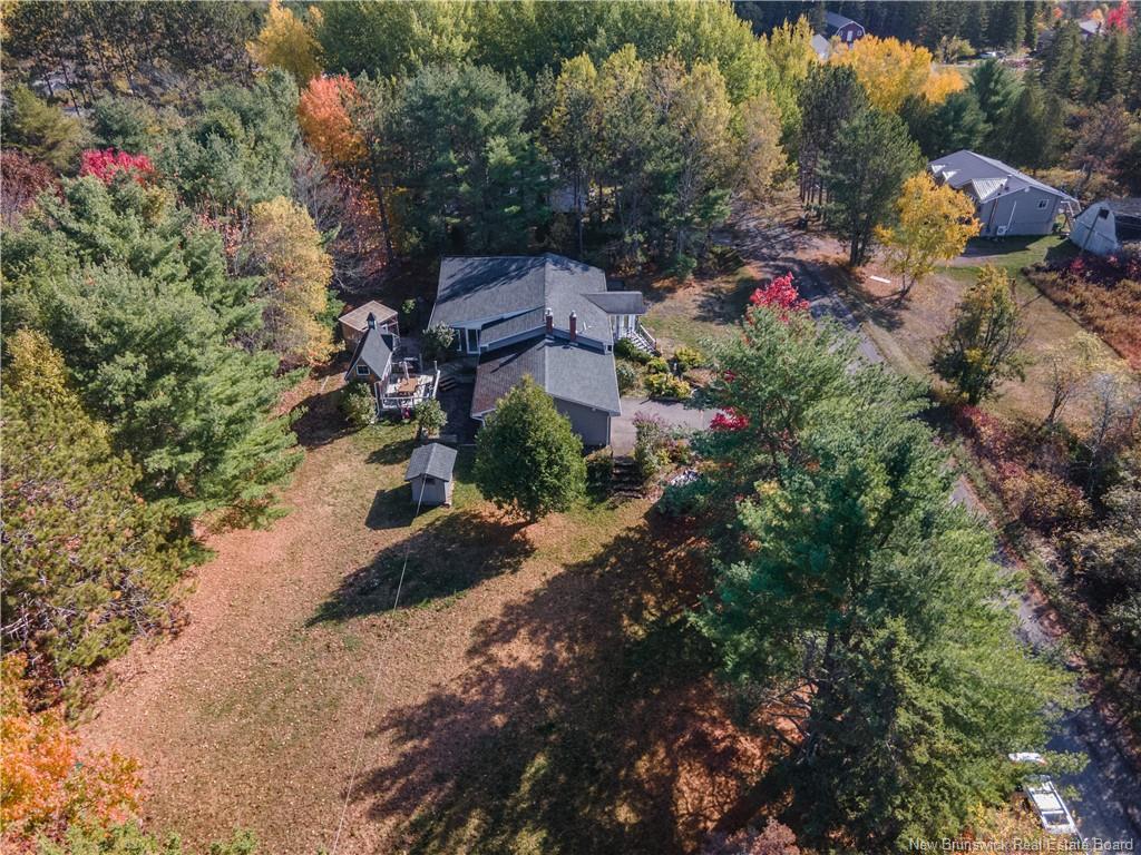 45 Tavener, Picadilly, NB