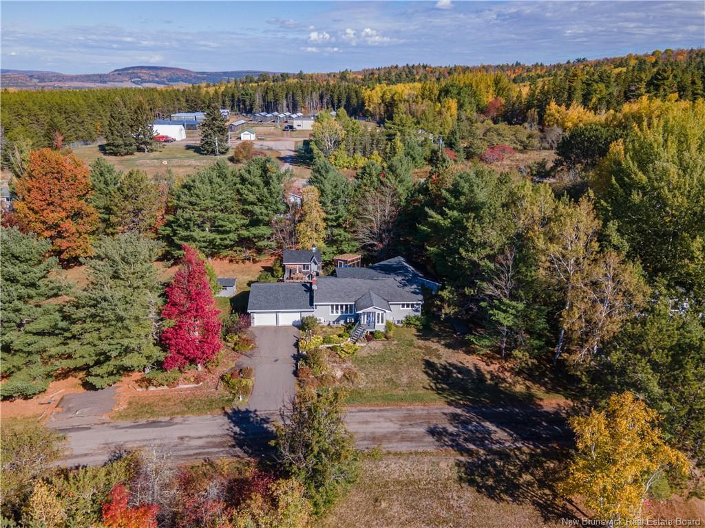 45 Tavener, Picadilly, NB