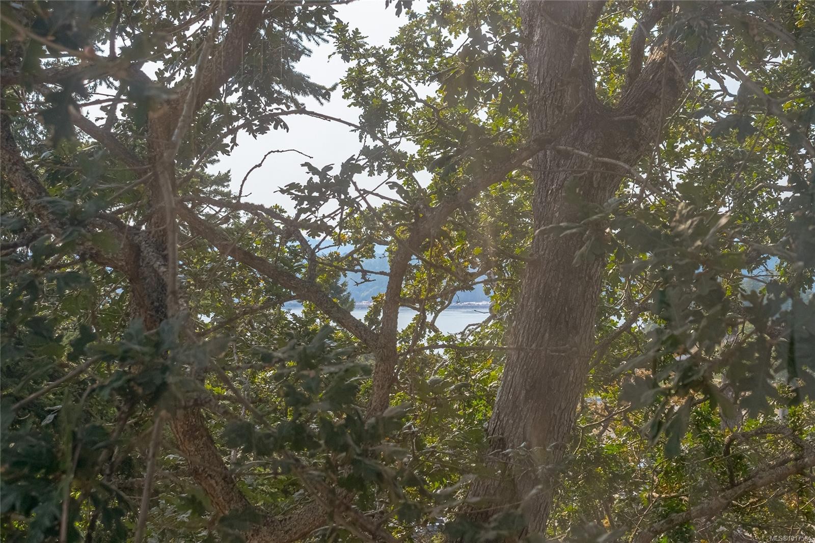 999 Admirals Rd, Esquimalt, BC - Outdoor With View