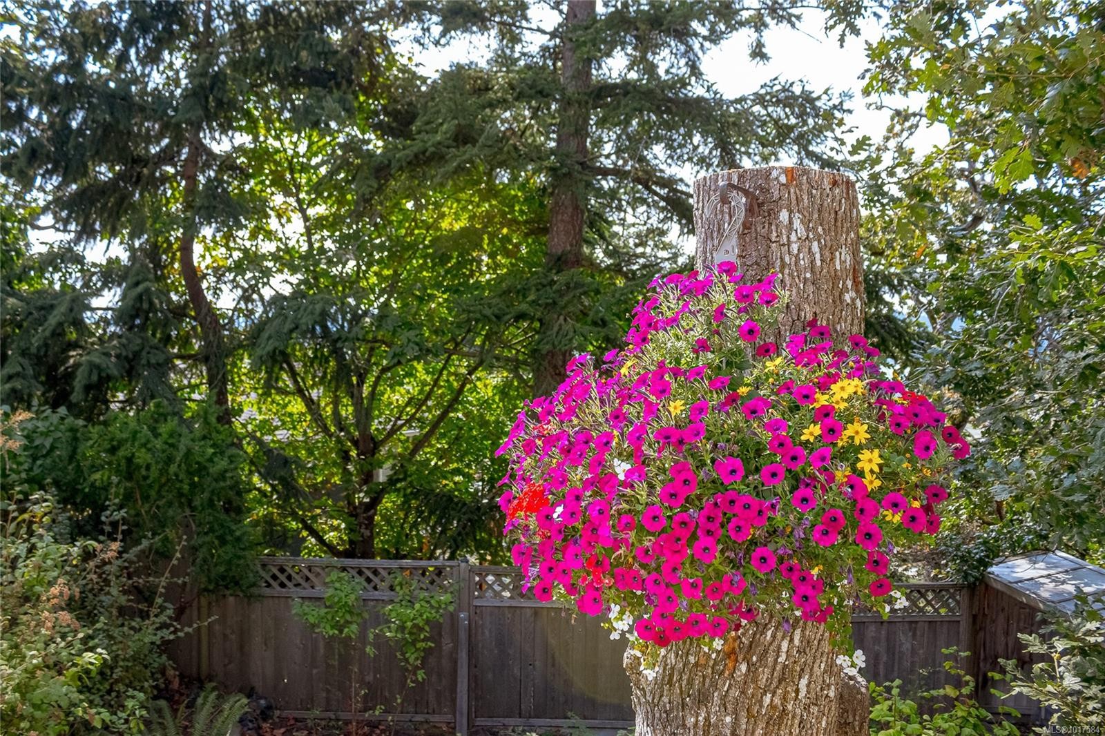 999 Admirals Rd, Esquimalt, BC - Outdoor