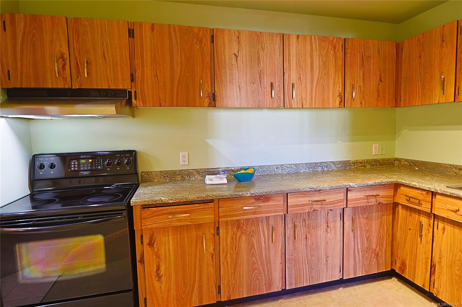 208-69 Gorge Rd West, Saanich, BC - Indoor Photo Showing Kitchen