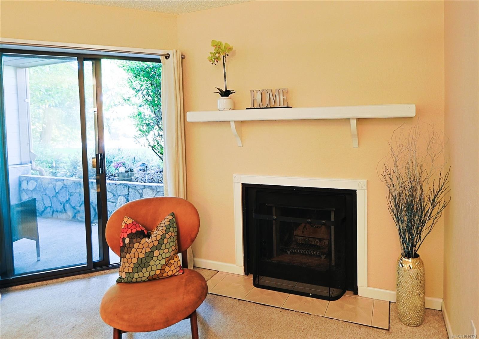208-69 Gorge Rd West, Saanich, BC - Indoor Photo Showing Living Room With Fireplace