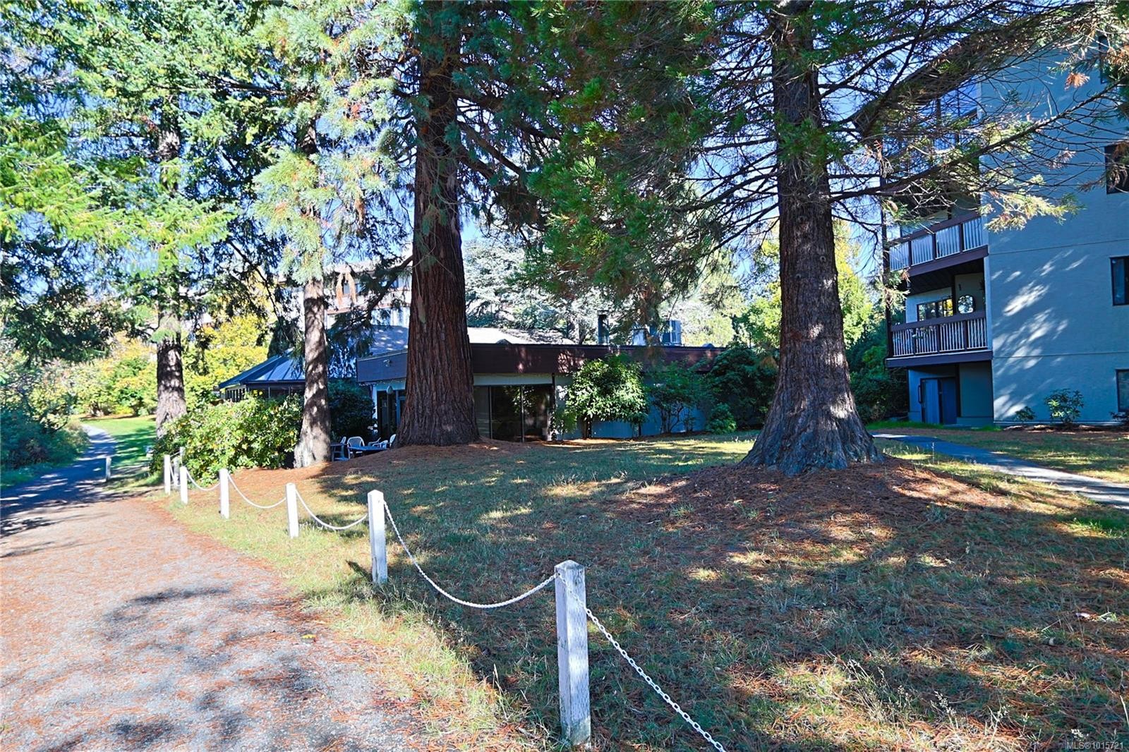 208-69 Gorge Rd West, Saanich, BC - Outdoor