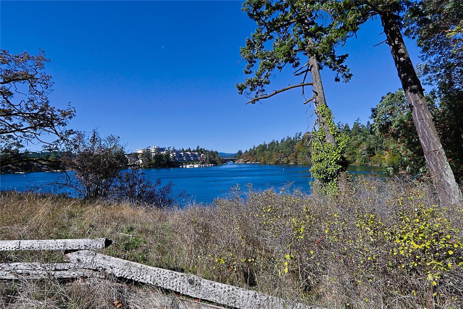 208-69 Gorge Rd West, Saanich, BC - Outdoor With Body Of Water With View