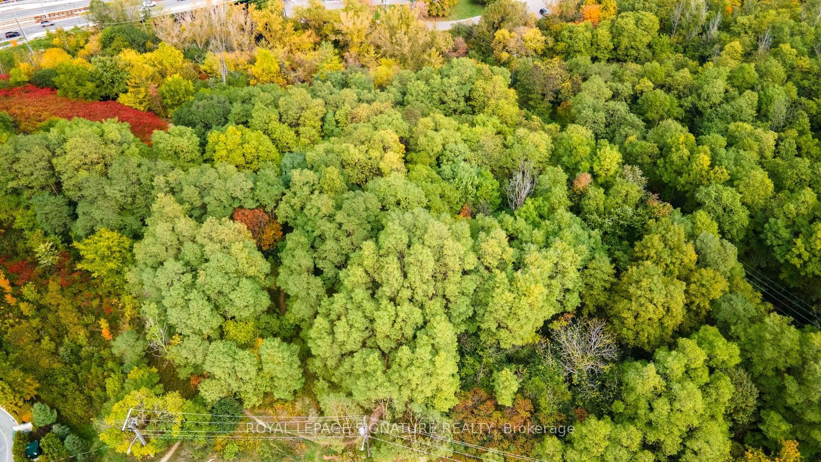 504-160 Vanderhoof Avenue, Toronto, ON - Outdoor With View