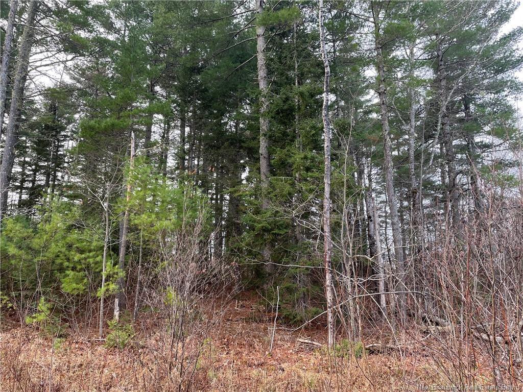 Lot 1 Route 105, Youngs Cove, NB