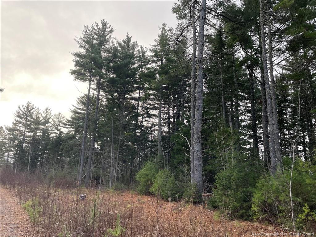 Lot 1 Route 105, Youngs Cove, NB