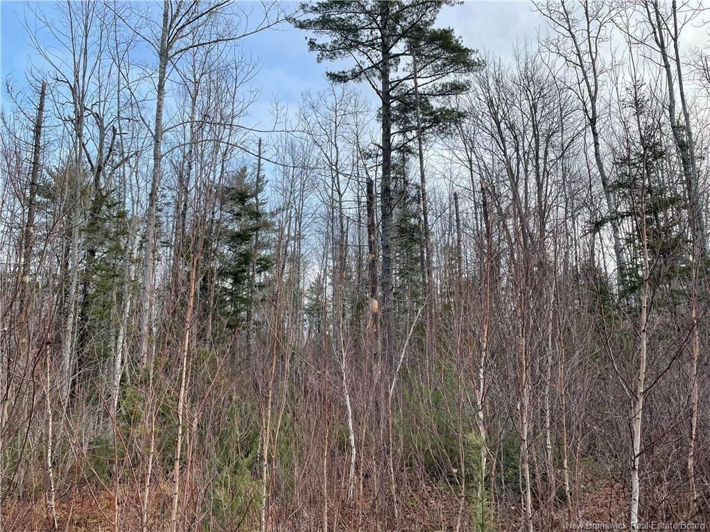 Lot 1 Route 105, Youngs Cove, NB