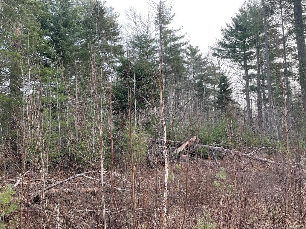 Lot 1 Route 105, Youngs Cove, NB