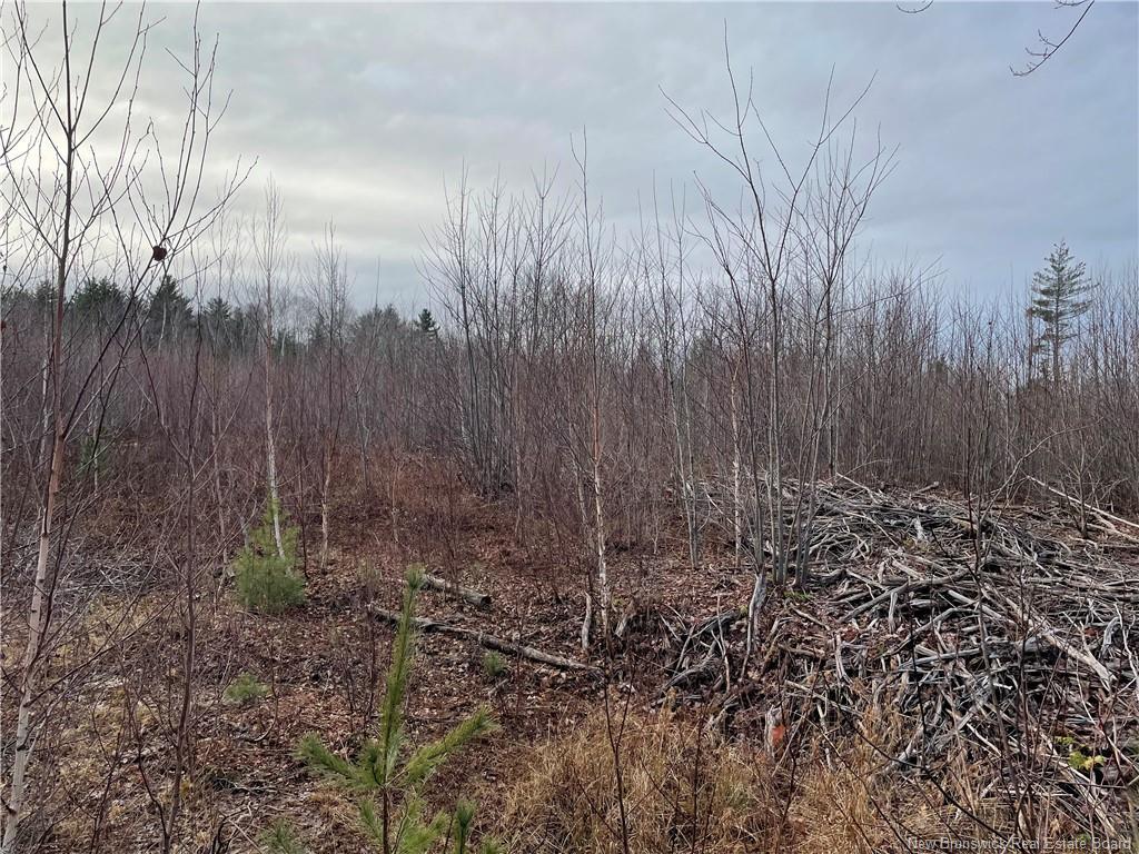 Lot 1 Route 105, Youngs Cove, NB
