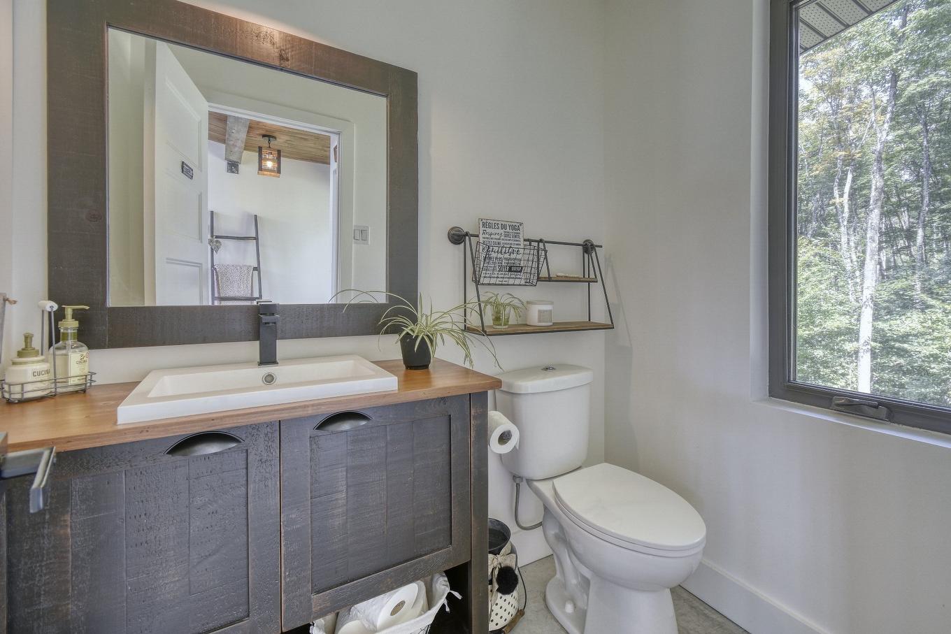 Powder room - 125 Allée Des Weskarinis, Mont-Tremblant, QC - Indoor Photo Showing Bathroom