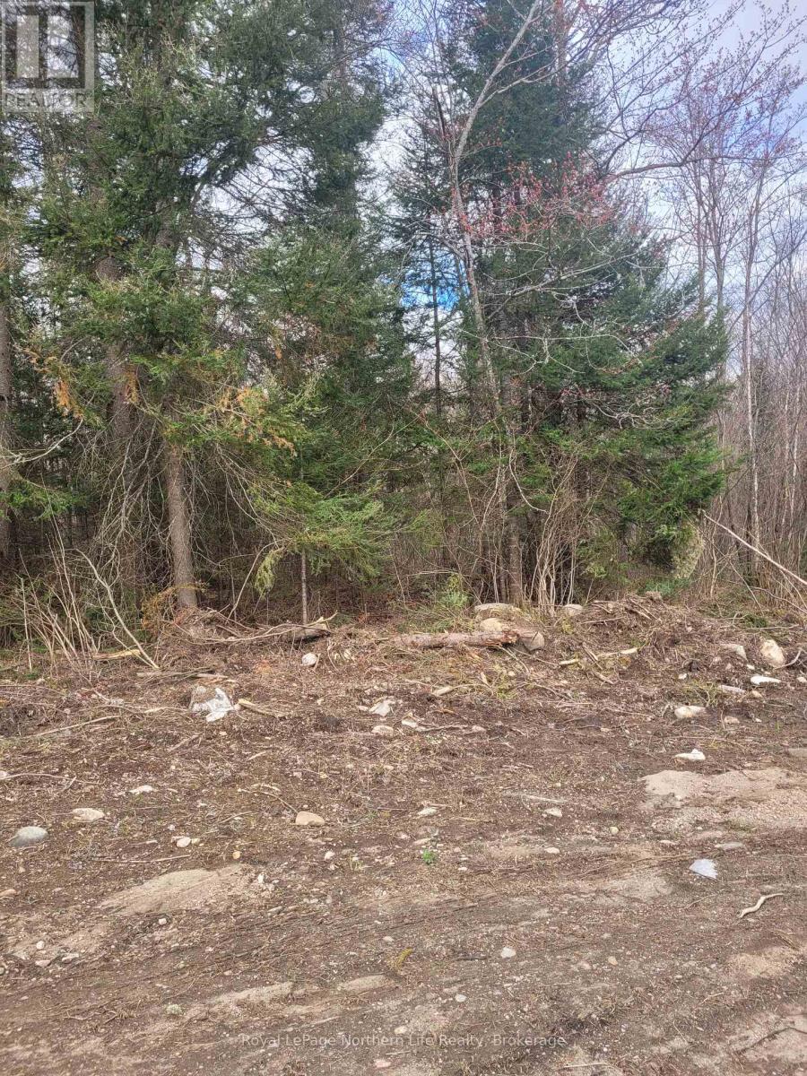 Lot 21 Con 13 Pt 3, Papineau-Cameron (Papineau Cameron), ON