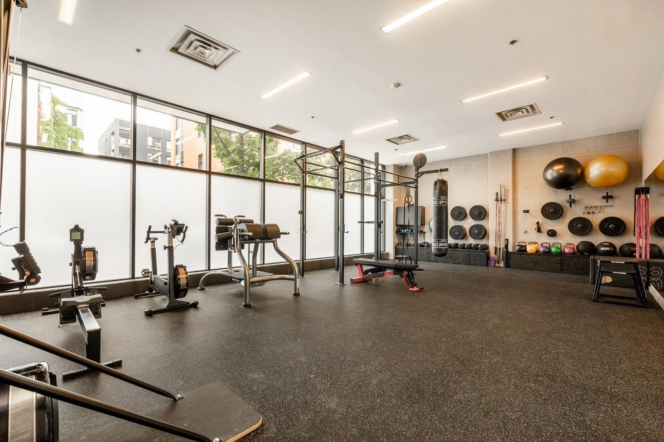 Salle d'exercice - 674-855 Rue Irène, Montréal (Le Sud-Ouest), QC - Indoor Photo Showing Gym Room