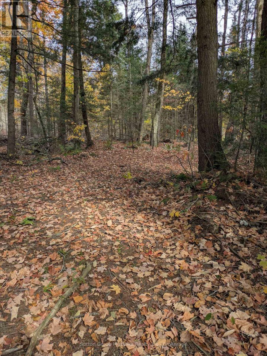 0 118 Highway E, Bracebridge (Draper), ON