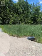 Culvert at the road -