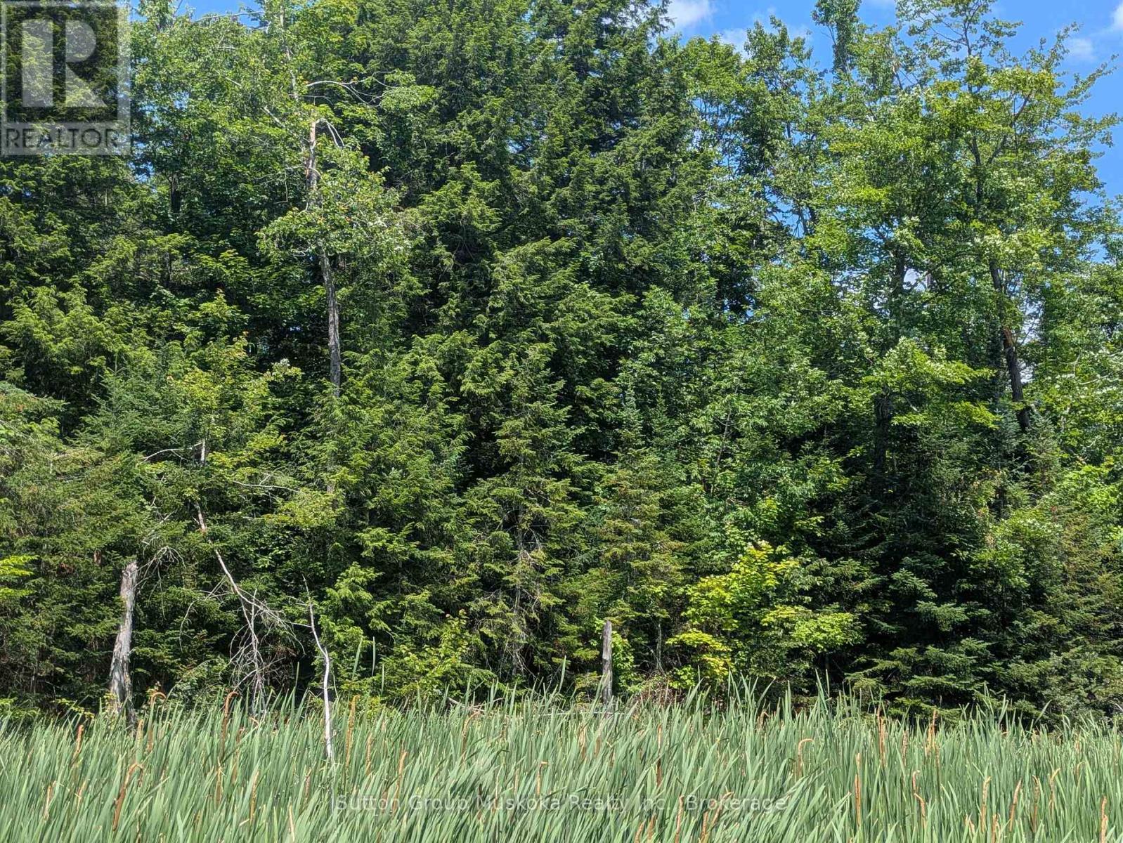 Mature trees - 0 118 Highway E, Bracebridge (Draper), ON