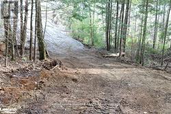 Driveway is established -