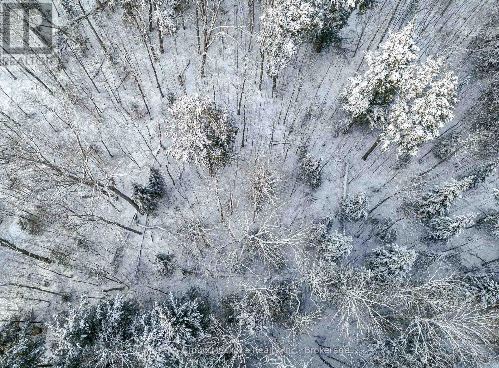 0 118 Highway E, Bracebridge (Draper), ON