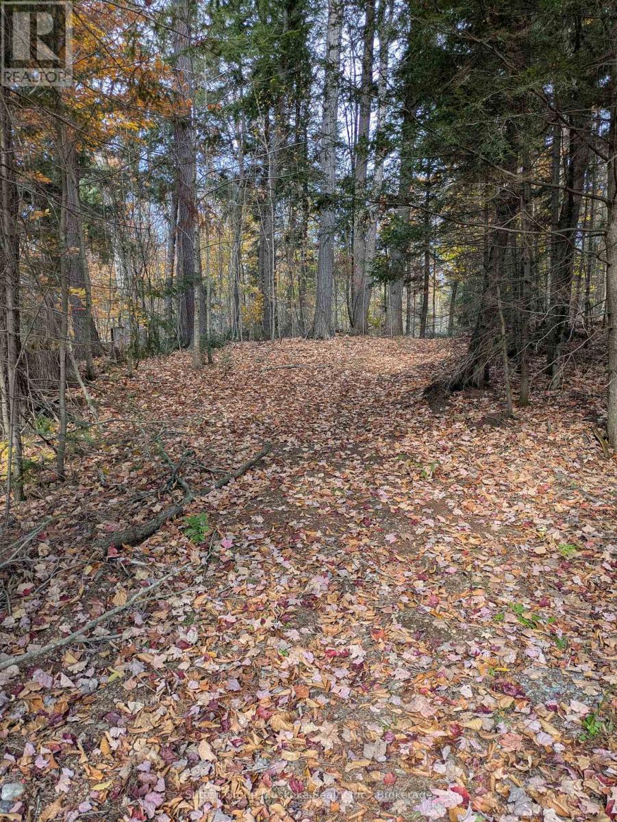 0 118 Highway E, Bracebridge (Draper), ON