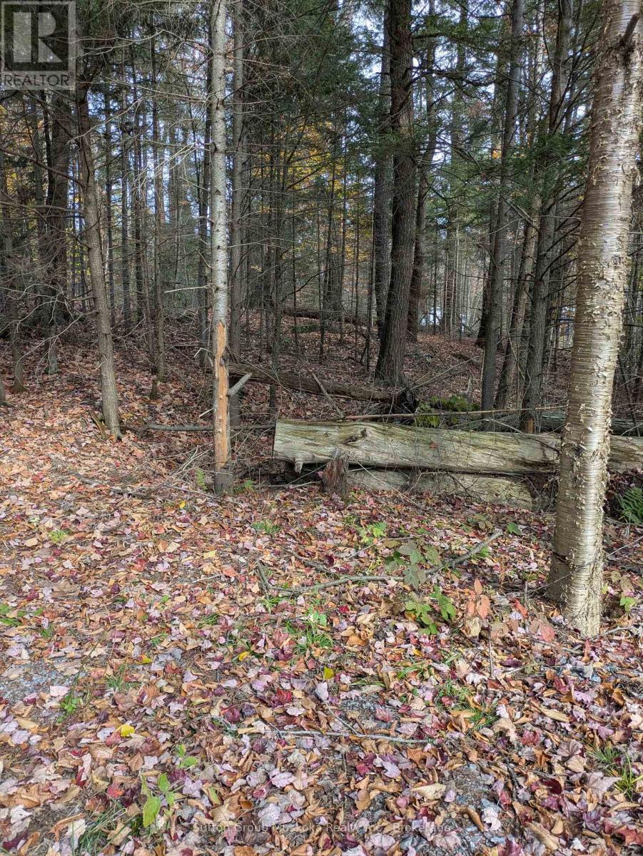 0 118 Highway E, Bracebridge (Draper), ON