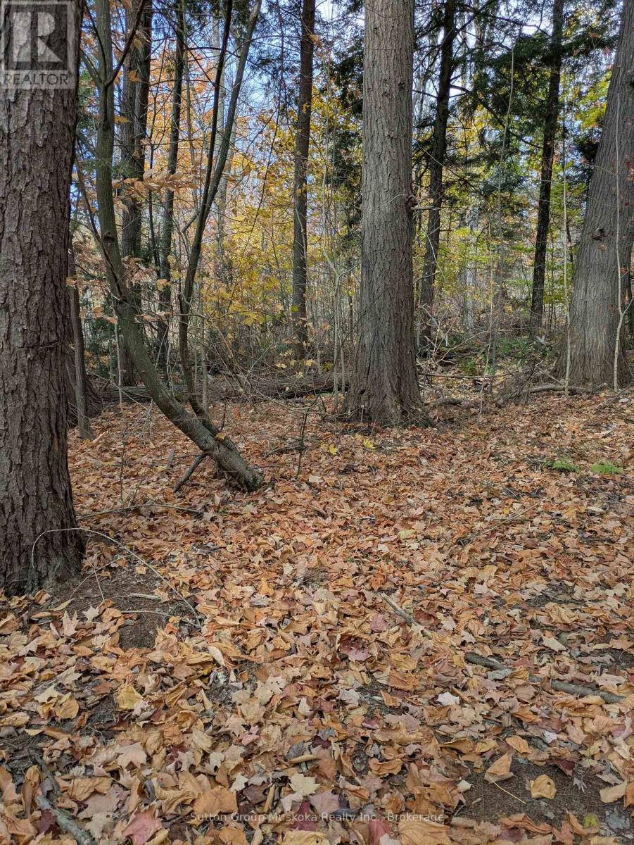 0 118 Highway E, Bracebridge (Draper), ON