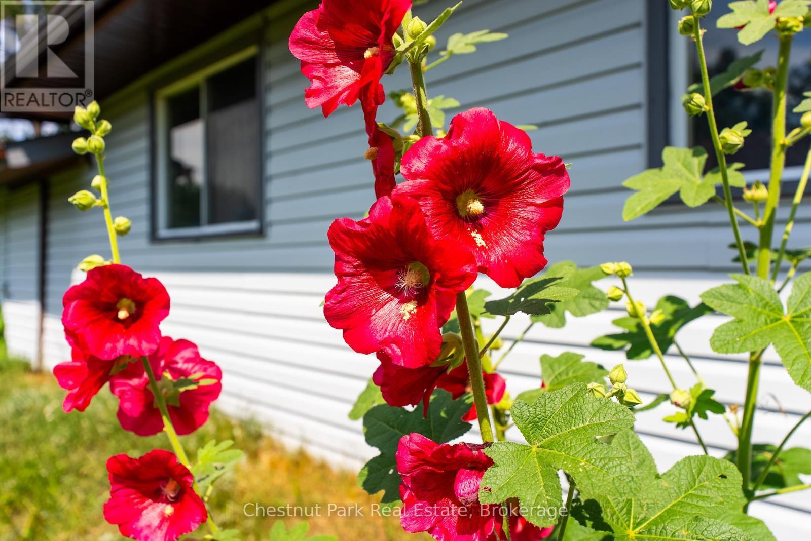 8 Dandelion Lane, Bracebridge (Monck (Bracebridge)), ON - Outdoor