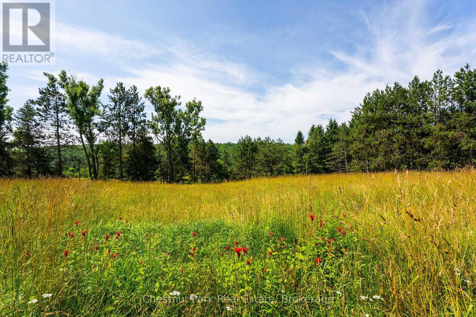 8 Dandelion Lane, Bracebridge (Monck (Bracebridge)), ON - Outdoor