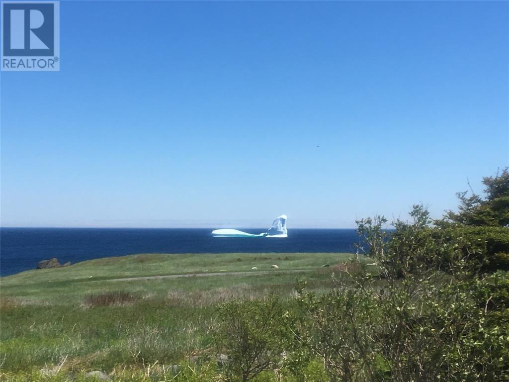 10 Wharf Road Loop, Blackhead, NL