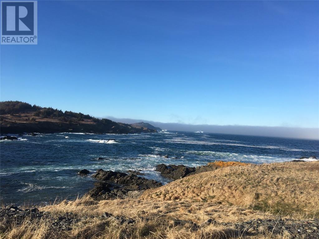 10 Wharf Road Loop, Blackhead, NL