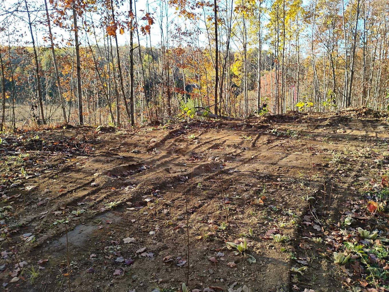 Land/Lot - Ch. De Cawood, Alleyn-Et-Cawood, QC