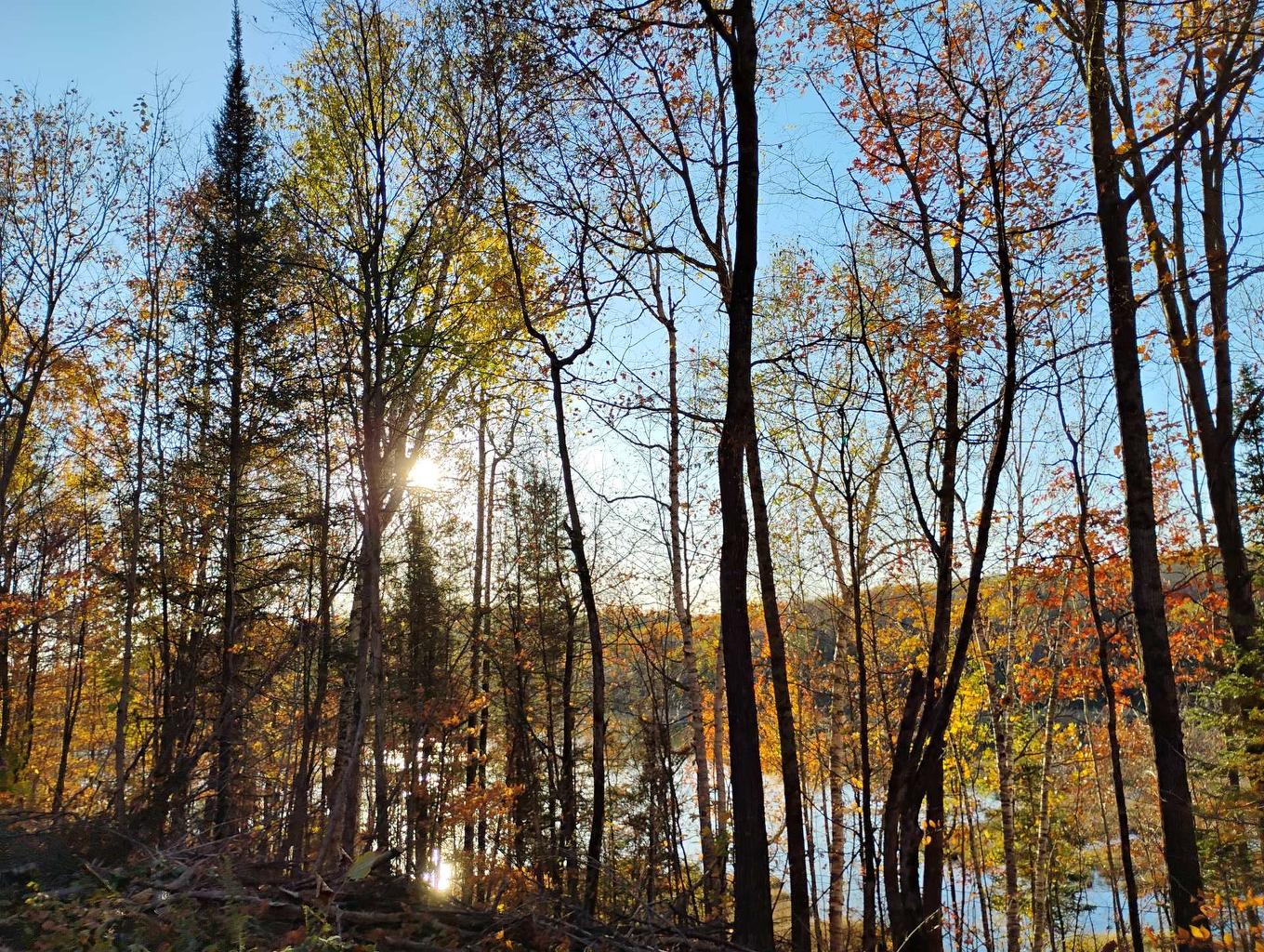 Land/Lot - Ch. De Cawood, Alleyn-Et-Cawood, QC