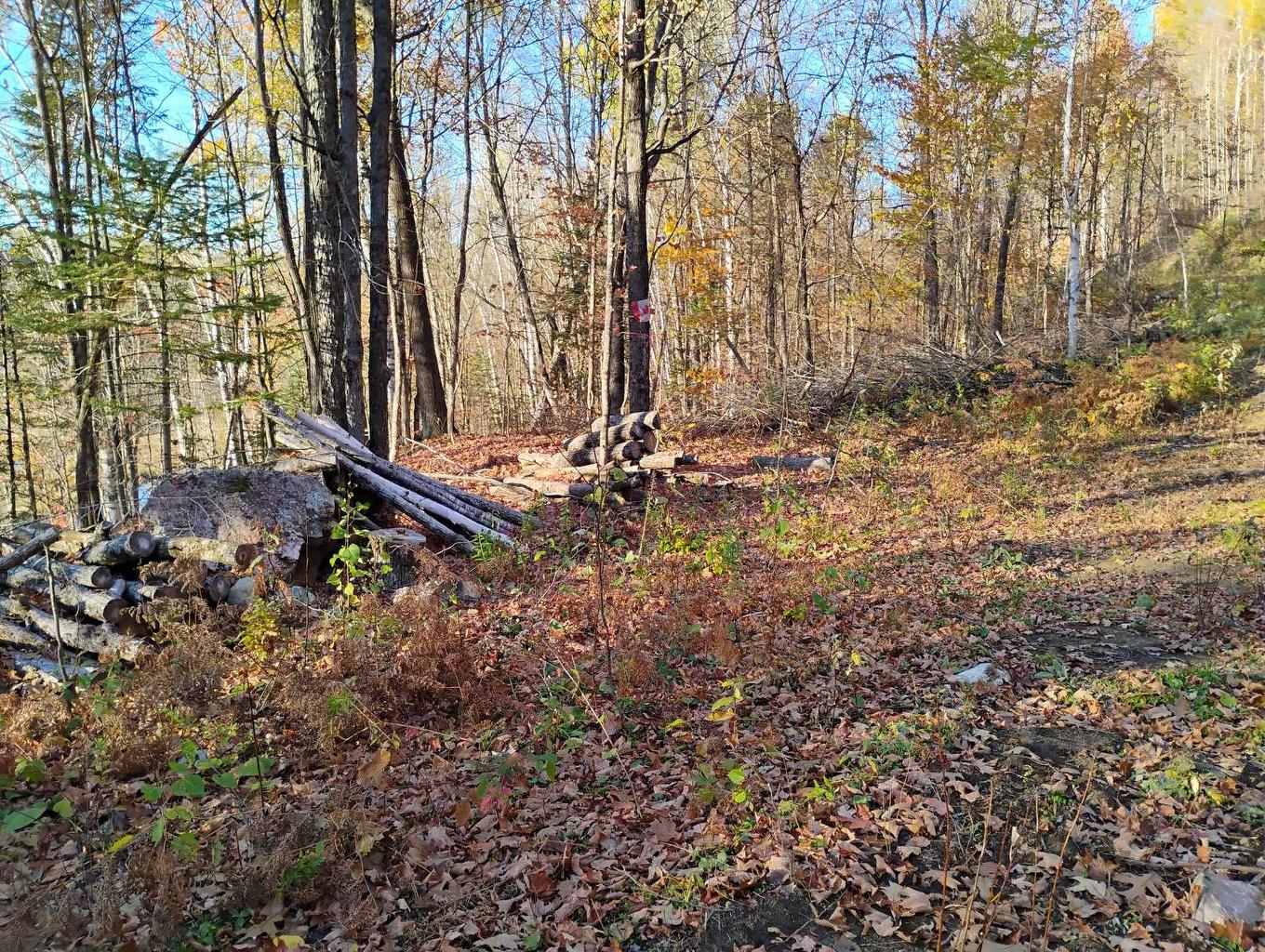 Land/Lot - Ch. De Cawood, Alleyn-Et-Cawood, QC