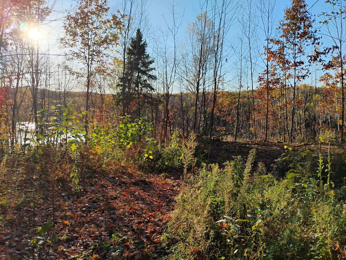 Land/Lot - Ch. De Cawood, Alleyn-Et-Cawood, QC