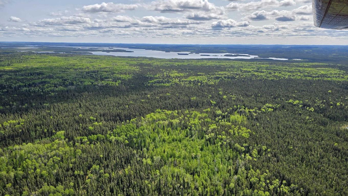 Frontier Trail Off Hwy 527, Armstrong Station, ON