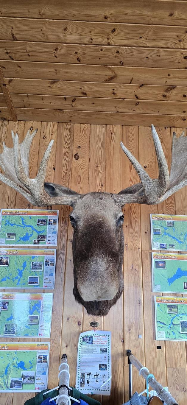 Frontier Trail Off Hwy 527, Armstrong Station, ON
