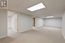 large rec-room in lower -