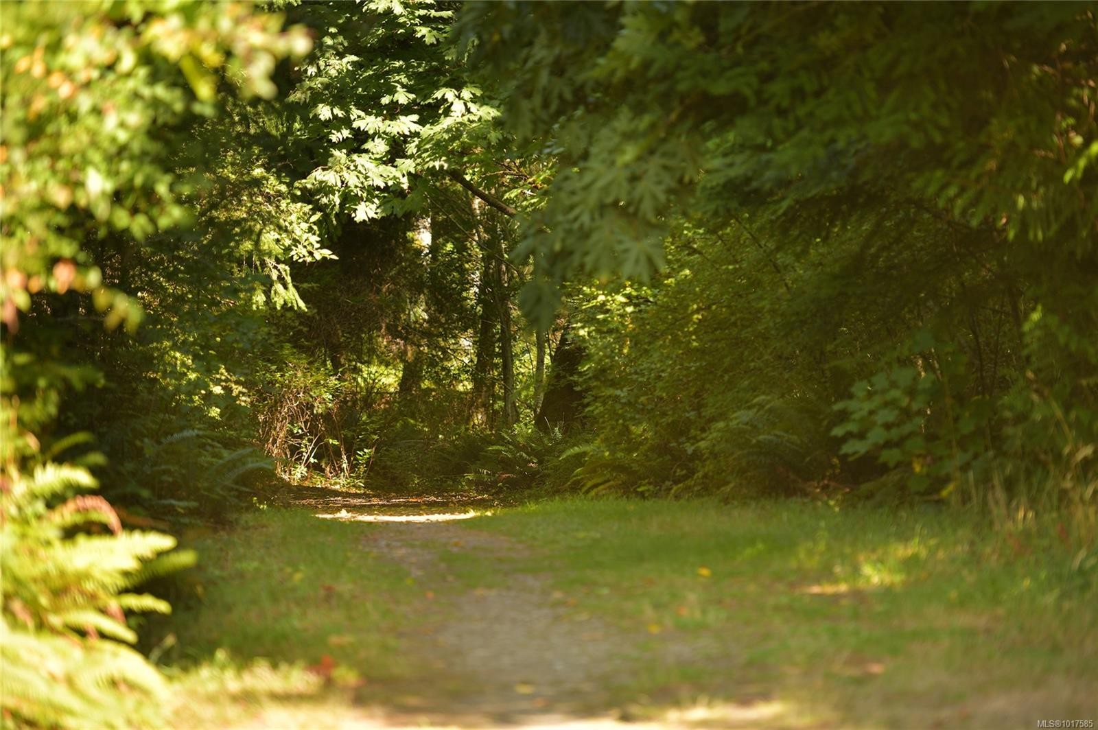 6308 Shambrook Dr, Sooke, BC