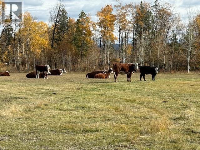 4877 Hellfire Road, Williams Lake, BC