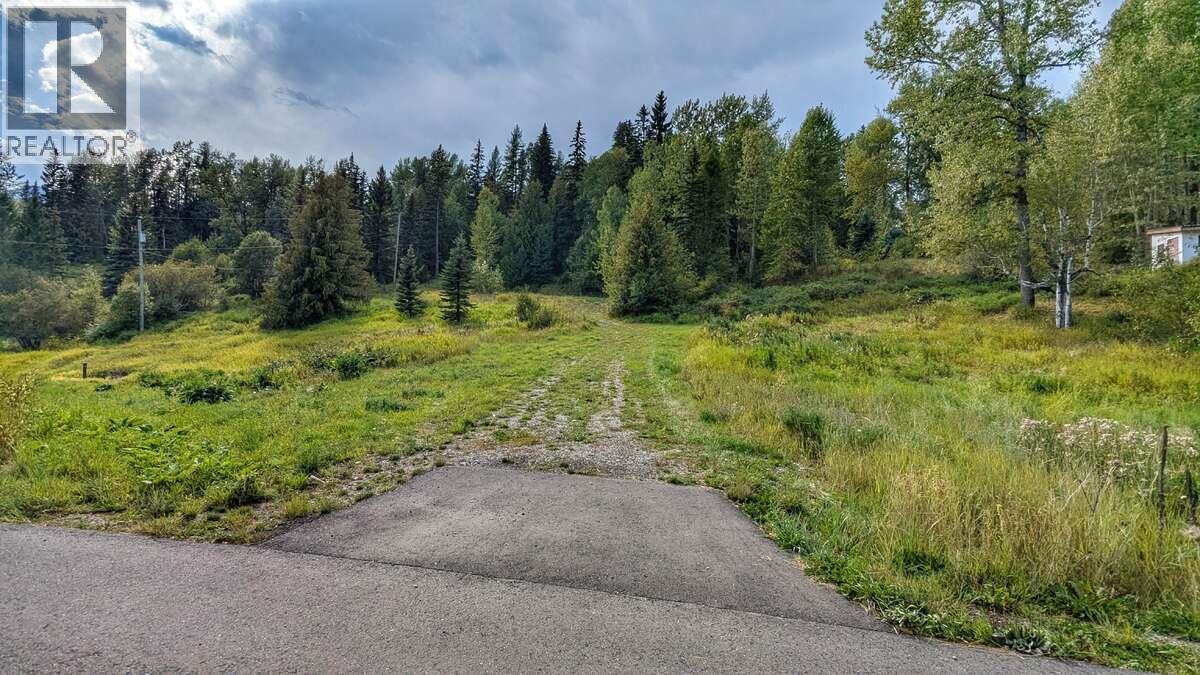 2107 Highway 3 S, Fernie, BC