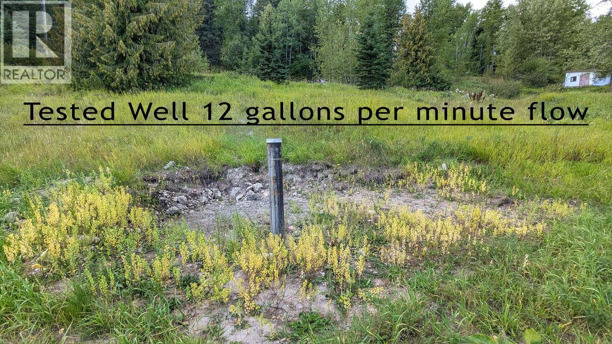 2107 Highway 3 S, Fernie, BC