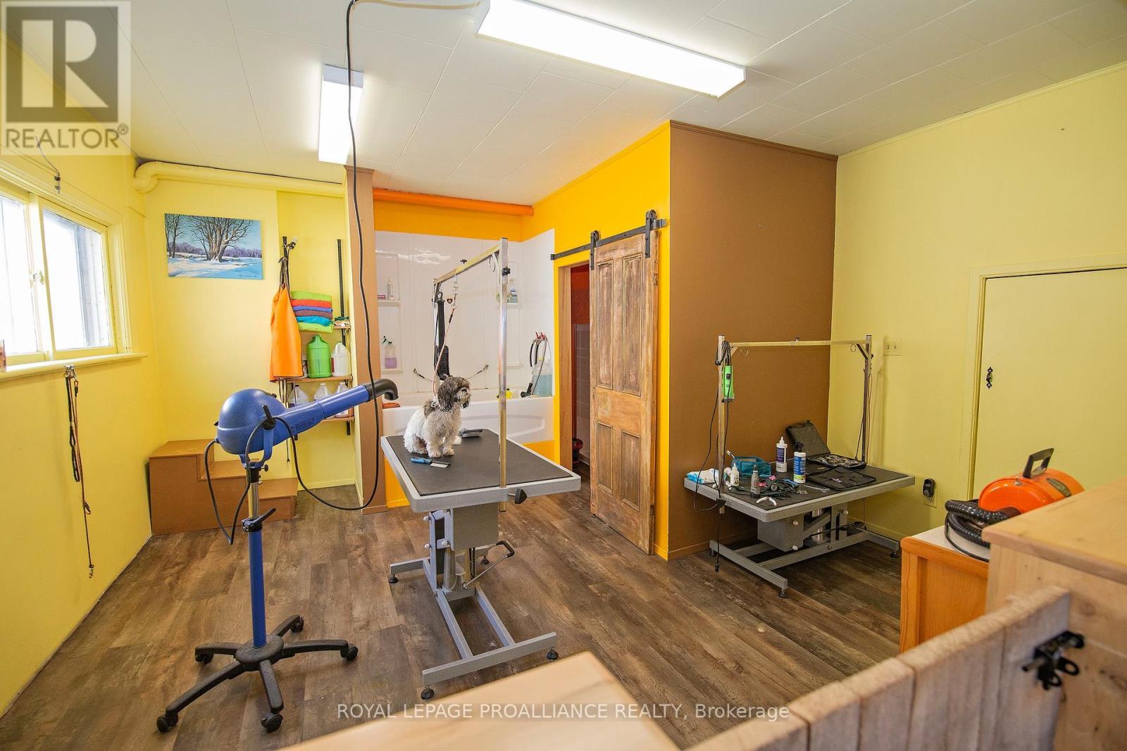 331 Victoria Street N, Tweed (Tweed (Village)), ON