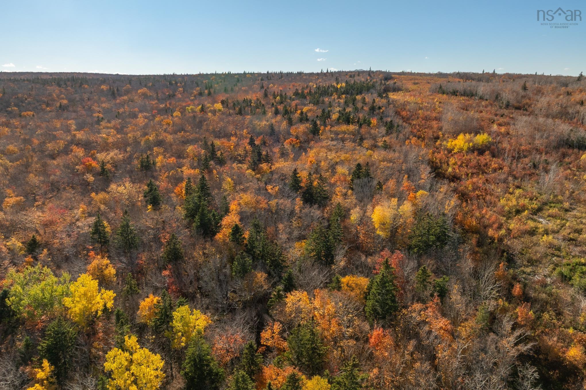 1 Tracadie Road, Mulgrave, NS