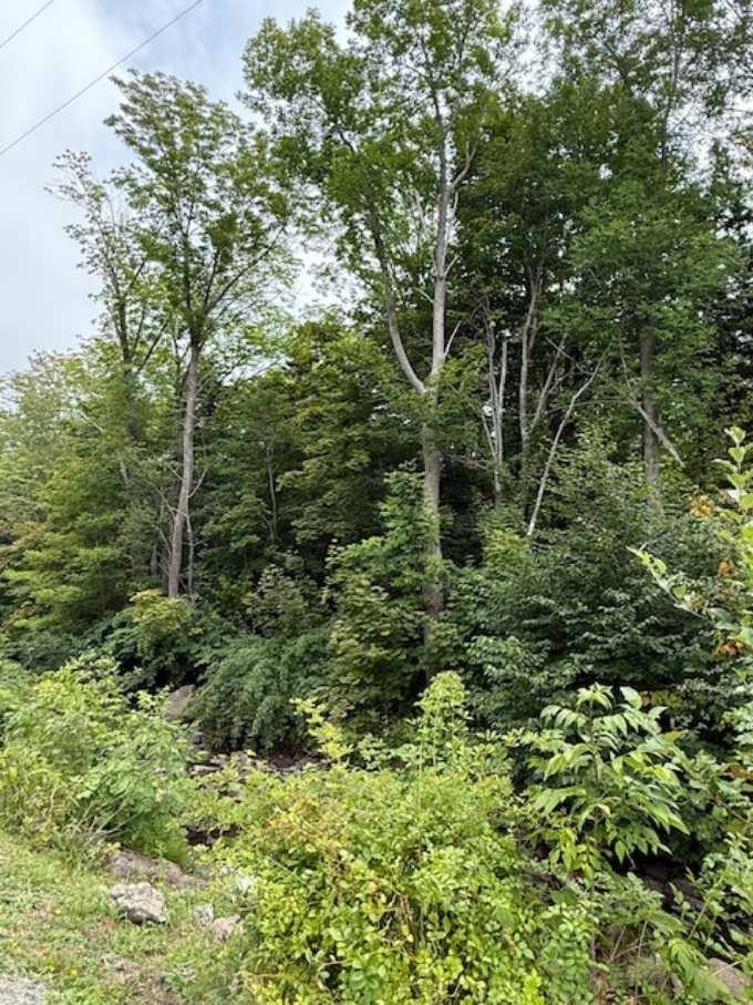 1 Mill Street, Mulgrave, NS