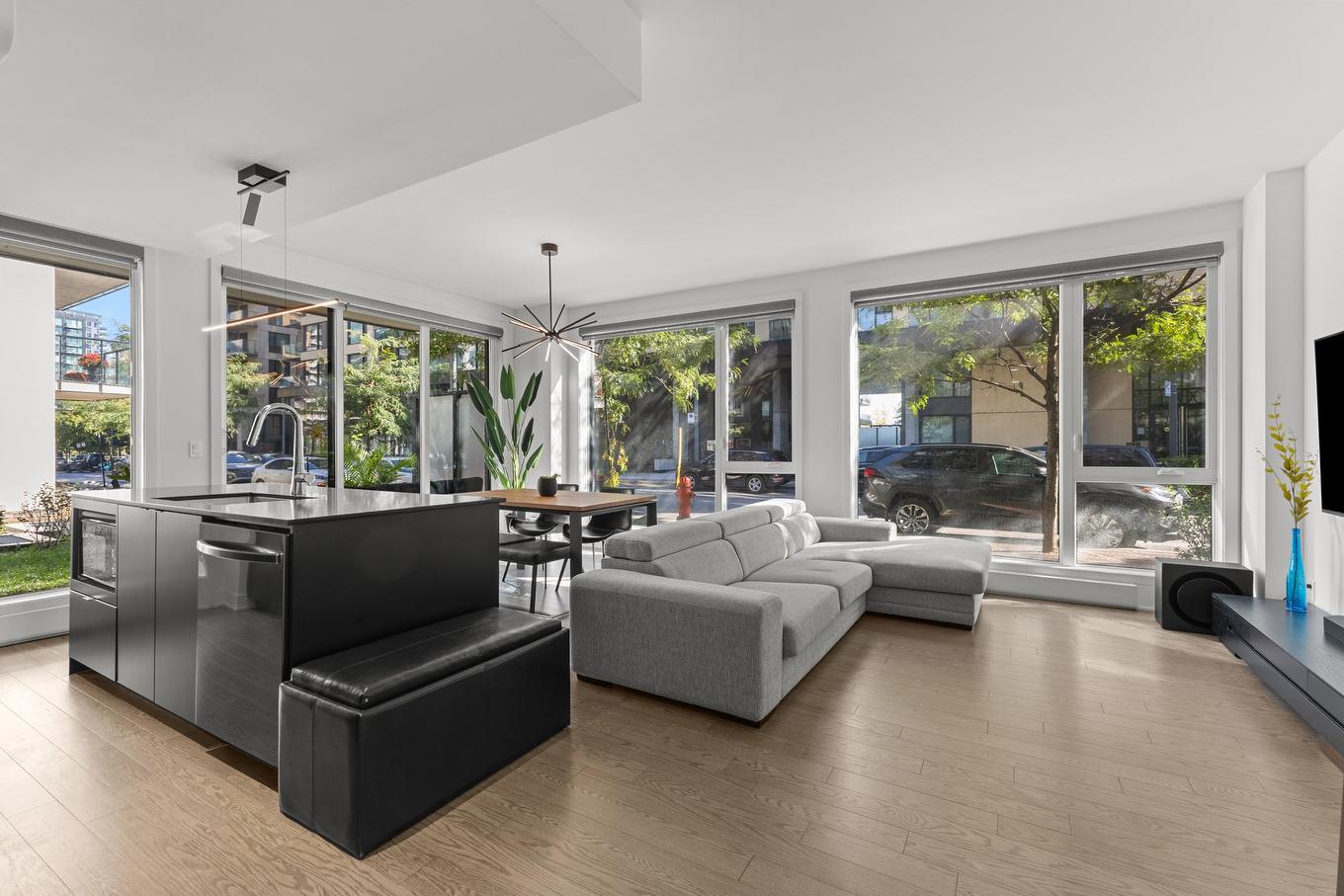 Salon - 118B-1400 Rue Ottawa, Montréal (Le Sud-Ouest), QC - Indoor Photo Showing Living Room