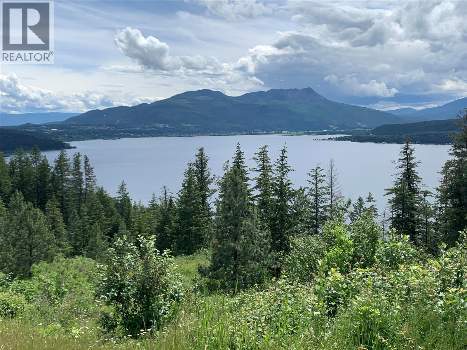 470 Sumac Road, Tappen, BC