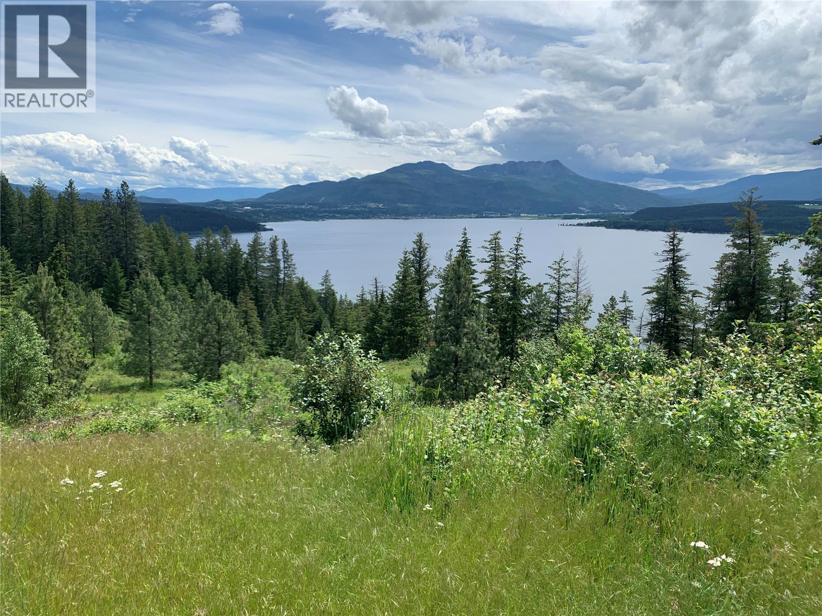 470 Sumac Road, Tappen, BC